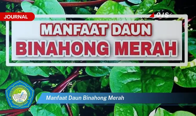 Ketahui 10 Manfaat Daun Binahong Merah untuk Kesehatan dan Penyembuhan Luka