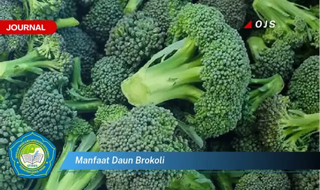 manfaat daun brokoli