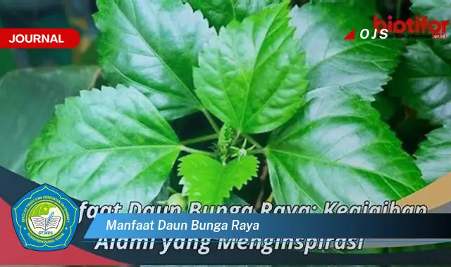 manfaat daun bunga raya