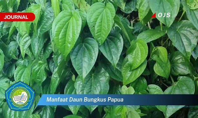 manfaat daun bungkus papua