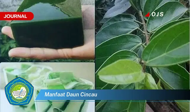 manfaat daun cincau