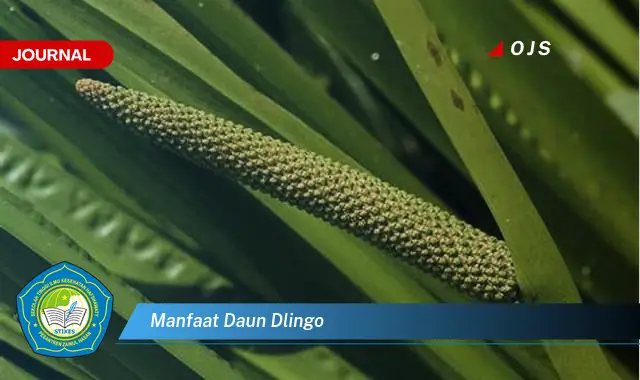 manfaat daun dlingo