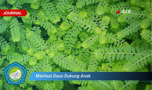 Ketahui 8 Manfaat Daun Dukung Anak untuk Kesehatan dan Tumbuh Kembang Si Kecil