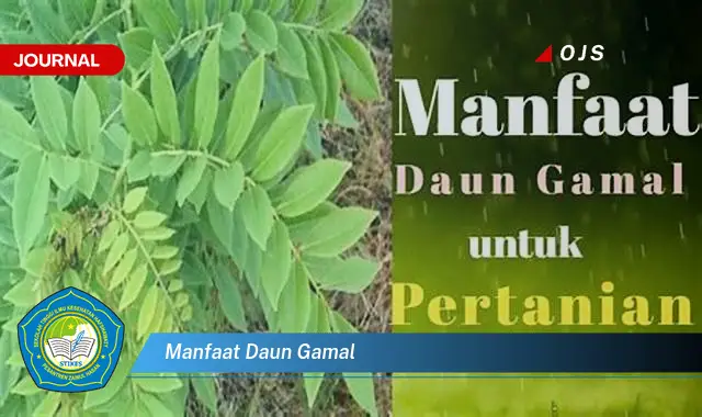 manfaat daun gamal