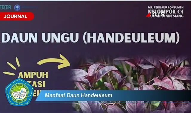 manfaat daun handeuleum