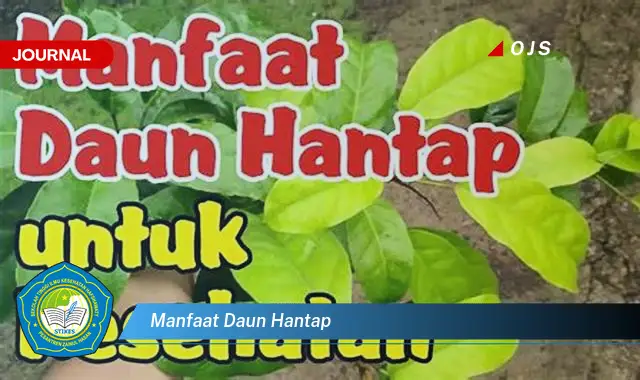 Ketahui 8 Manfaat Daun Hantap untuk Kesehatan Tubuh Anda