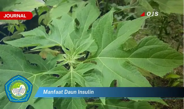 manfaat daun insulin