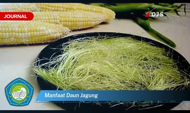 manfaat daun jagung