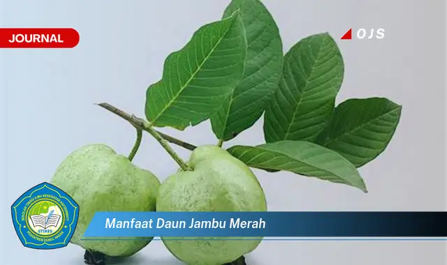 manfaat daun jambu merah