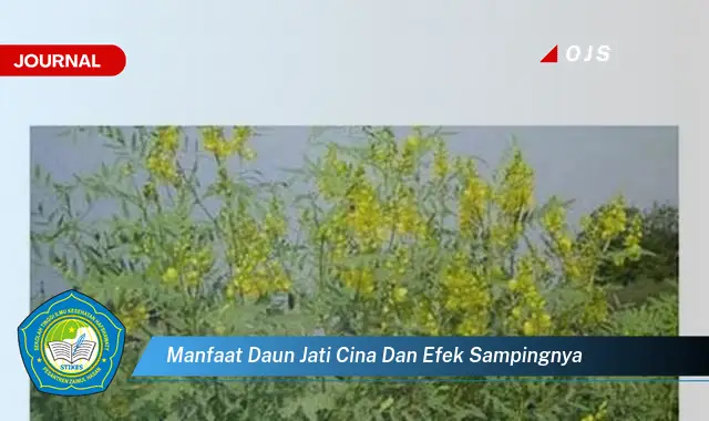 Ketahui 8 Manfaat Daun Jati Cina untuk Kesehatan dan Efek Samping yang Perlu Diwaspadai