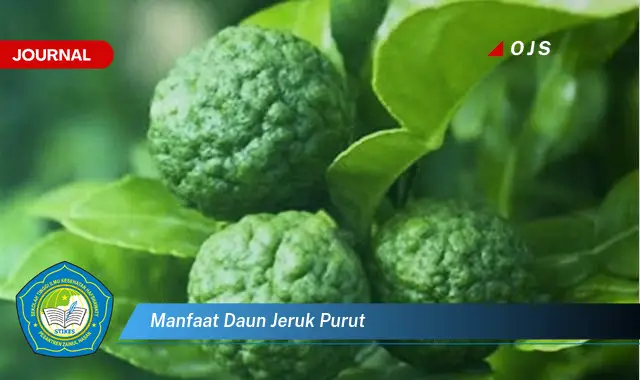 manfaat daun jeruk purut