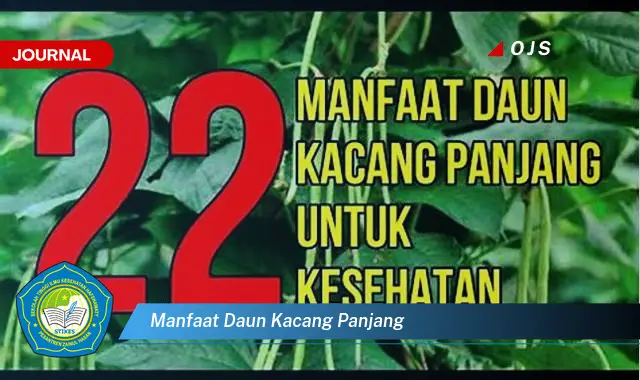 manfaat daun kacang panjang