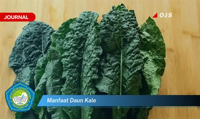 manfaat daun kale