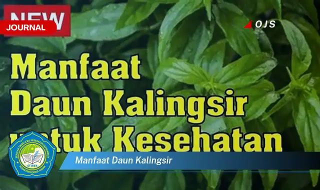 Ketahui 9 Manfaat Daun Kalingsir untuk Kesehatan Anda