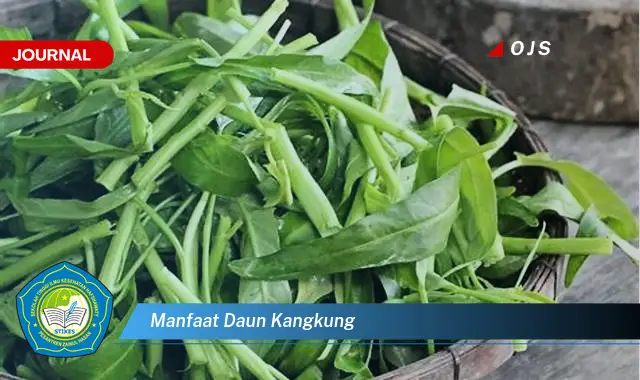 Ketahui 9 Manfaat Daun Kangkung untuk Kesehatan Tubuh Anda