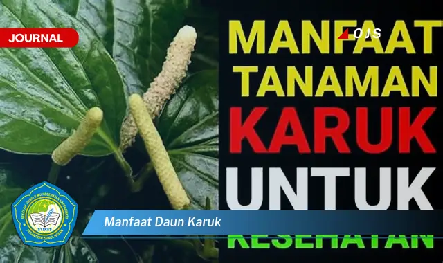 manfaat daun karuk