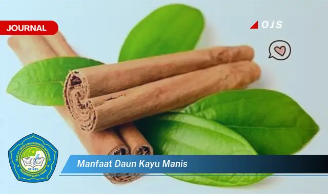 manfaat daun kayu manis