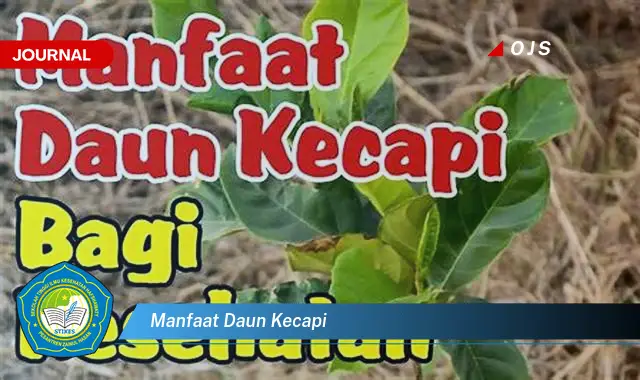 manfaat daun kecapi