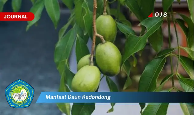 manfaat daun kedondong