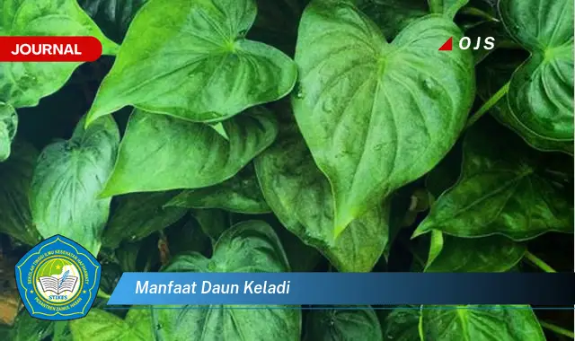 manfaat daun keladi