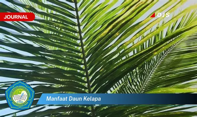 manfaat daun kelapa