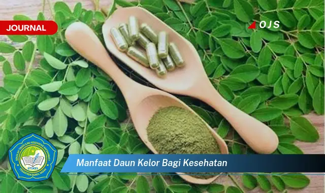 manfaat daun kelor bagi kesehatan