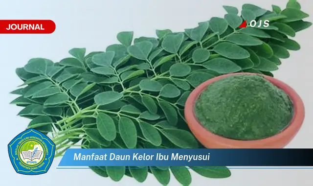 manfaat daun kelor ibu menyusui