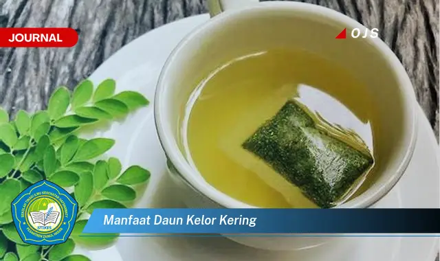 manfaat daun kelor kering