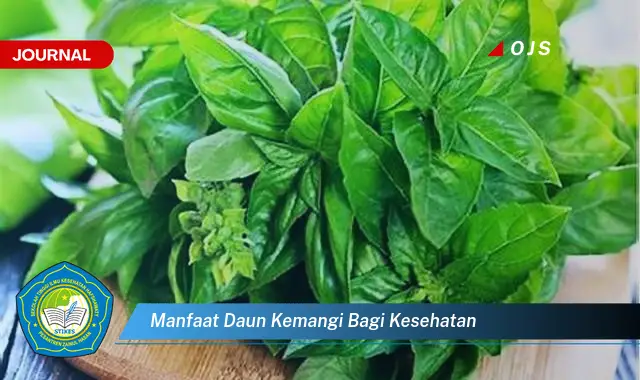 Ketahui 8 Manfaat Daun Kemangi bagi Kesehatan,  Tips Praktis dan Resep Sehat