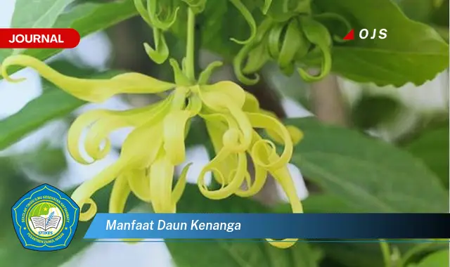 manfaat daun kenanga