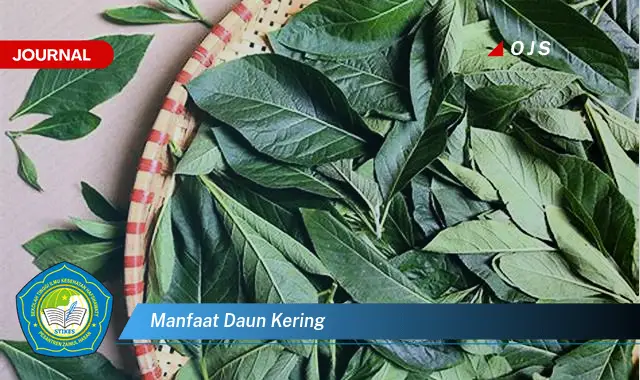 manfaat daun kering