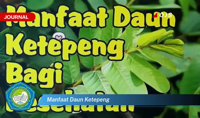 manfaat daun ketepeng