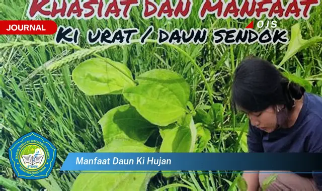 Ketahui 9 Manfaat Daun Ki Hujan untuk Kesehatan Anda