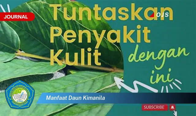 manfaat daun kimanila