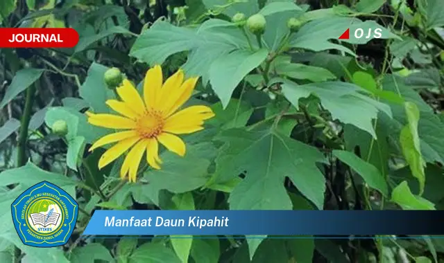 manfaat daun kipahit