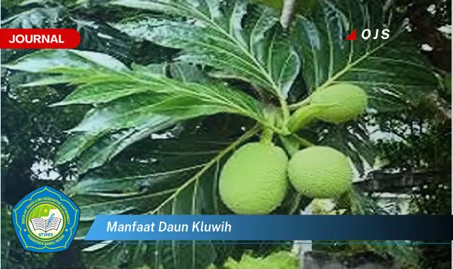 manfaat daun kluwih