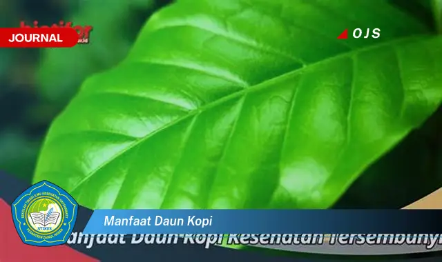 manfaat daun kopi