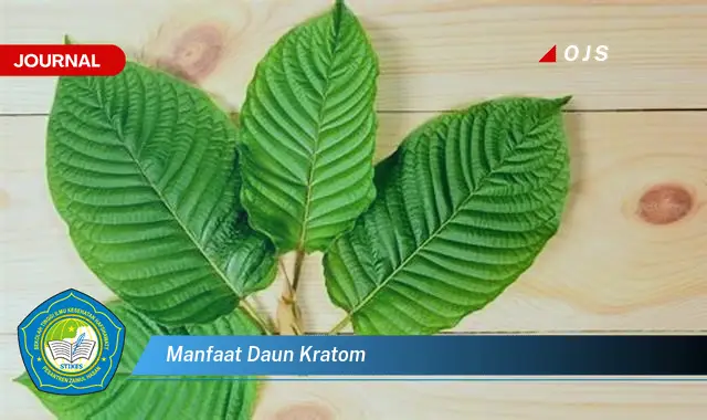 manfaat daun kratom