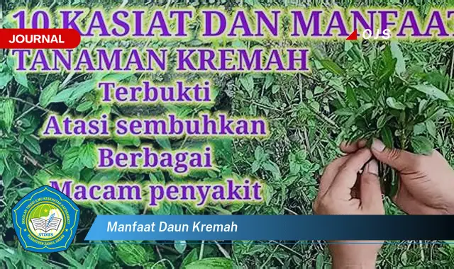 manfaat daun kremah