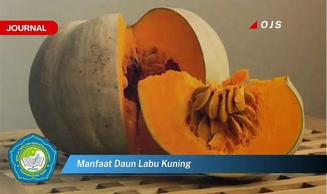 manfaat daun labu kuning