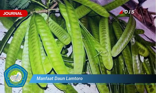 manfaat daun lamtoro