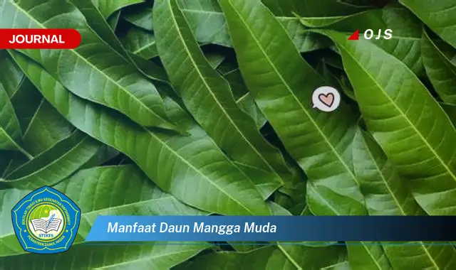 Ketahui 10 Manfaat Daun Mangga Muda untuk Kesehatan dan Kecantikan