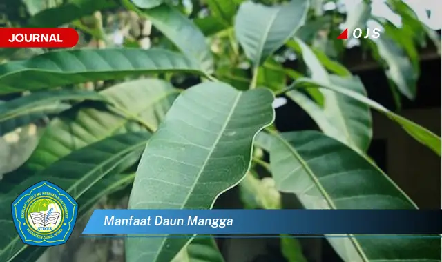 manfaat daun mangga