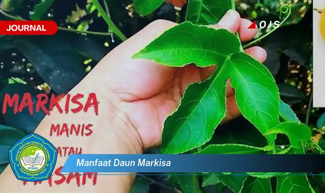 manfaat daun markisa