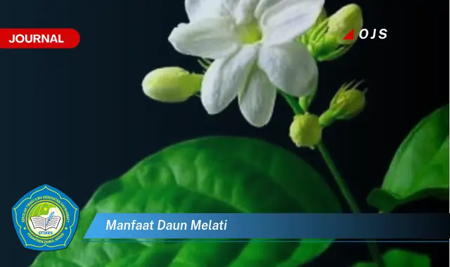 Ketahui 9 Manfaat Daun Melati untuk Kesehatan Anda