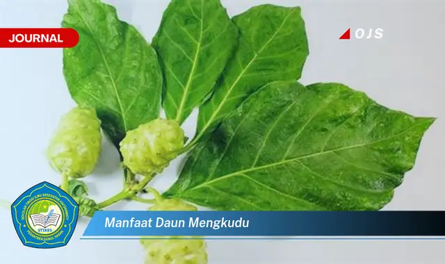 manfaat daun mengkudu