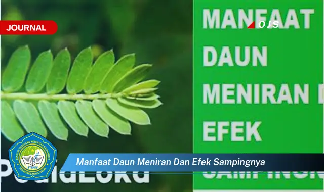 manfaat daun meniran dan efek sampingnya