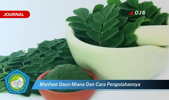 Ketahui 10 Manfaat Daun Miana untuk Kesehatan dan Cara Mengolahnya Menjadi Obat Alami