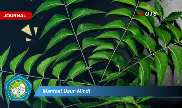 manfaat daun mindi