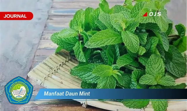 manfaat daun mint